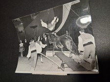 1970c foto ROMANOVI JOCKEI REITER Bulgarischer Staats Zirkus Sofia circus photo