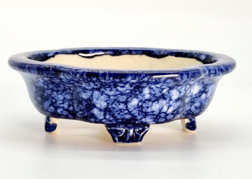 Bonsaischale koyo tokoname - koyo,