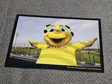 Emma Maskottchen  - BVB 09 -