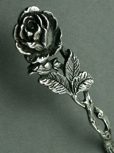 Hildesheimer rose essener - rose,