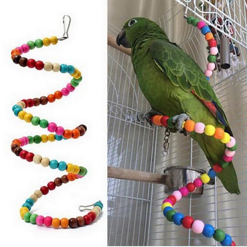Papageienspielzeug bunte