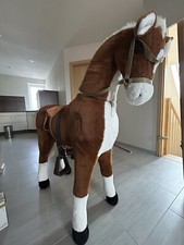 Reitpferd für Kinder und Pferdepflegebox