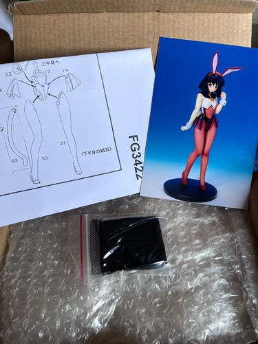 E2046 bunny tomoe hotaru - bunny,