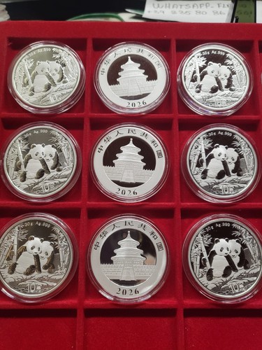 2026 china 元 - 2026, 10