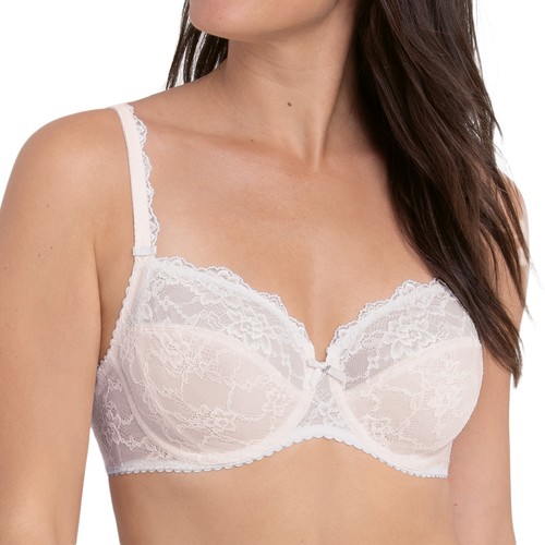Rosa faia bobette - faia,