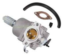 Vergaser für Briggs &