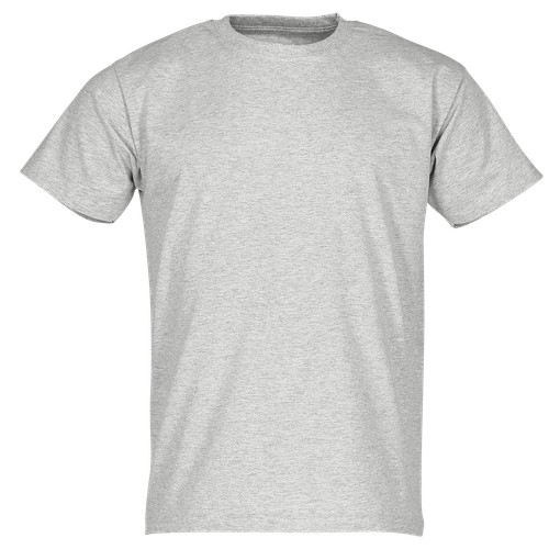 Fruit the loom shirt - fruit, t-shirt