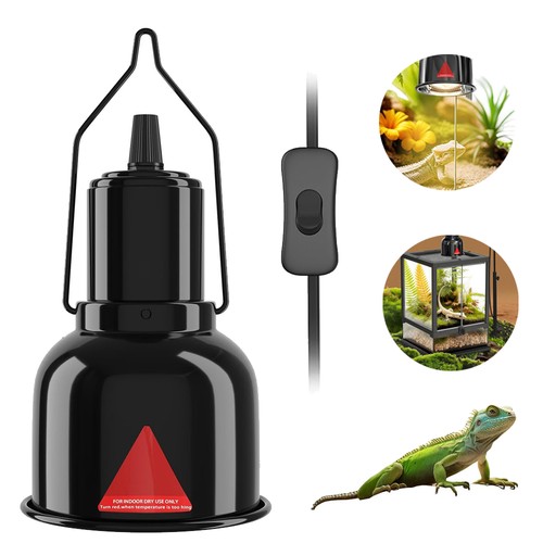 Reptile dome terrarium - reptile,
