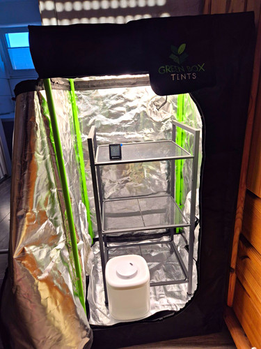 Green box tents growzelt - green,
