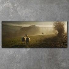 Leinwandbilder Wandbild XXL