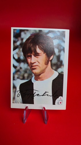 Borivoje djordjevic fc - borivoje, (fc