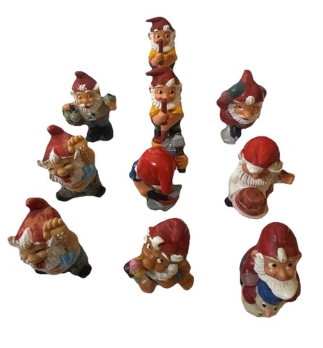 Eier sammlung stück - sammlung, 19