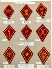 Schweiz, Sammlung Spezialistenabzeichen / Kragenabzeichen der Schweizer Armee " 
