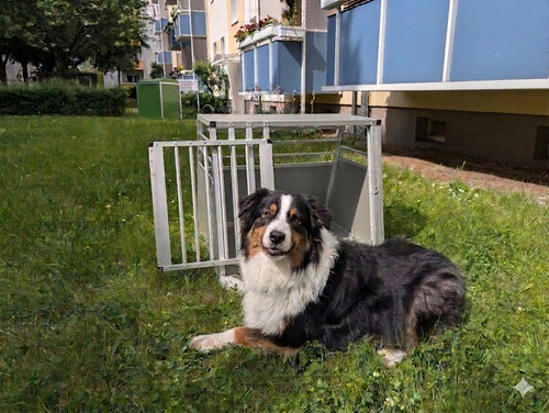 Hundetransportbox aus alu - hundetransportbox,