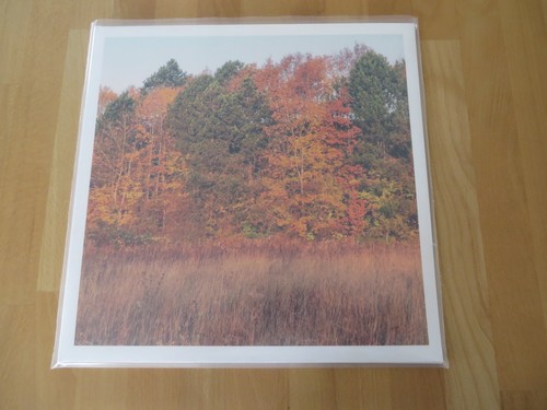 Omsorg vinyl aus sammlung - omsorg,
