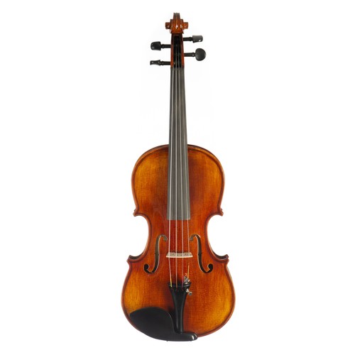 Fvn 118 violine - fvn-118, massiv