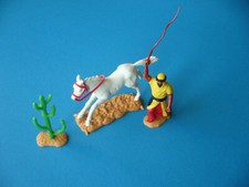 Timpo Araber und ein Pferd und 1 grüner Kaktus