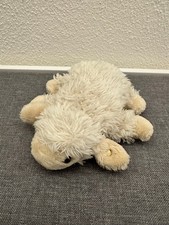 liegendes Schaf, Lamm