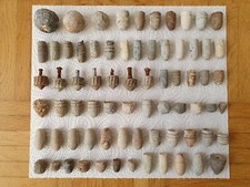 Antike Bleigeschosse Preußen / Napoleon