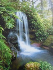 Wandbild Tropischer Wasserfall