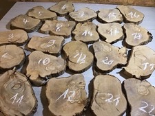 Holzscheibe Untersetzer