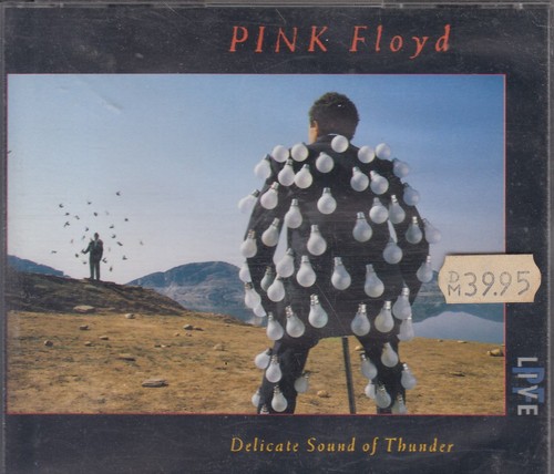 Pink floyd delicate - floyd, of