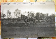 Ak Foto 1931 Pferd Viejo