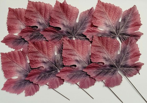 Weinblätter blatt herbst - 8,