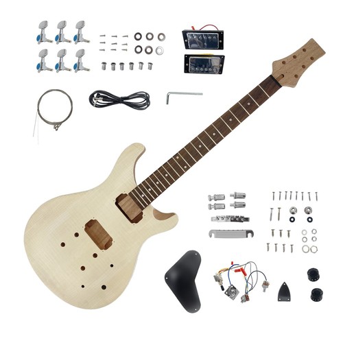 Electric guitar kit pickups - electric,