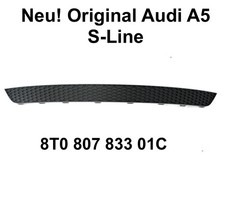 Original Audi (8T0 807 833