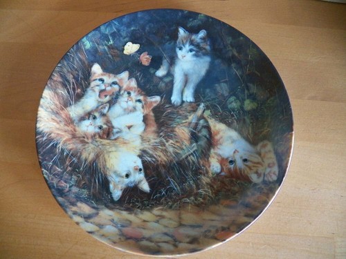 Katze sammelteller katzen - katze,