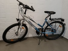 Pegasus fahrrad - pegasus,
