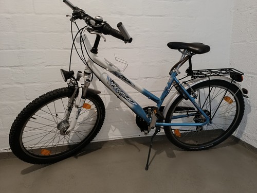 Pegasus fahrrad - pegasus,