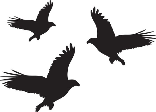 Aufkleber vogel 3er - aufkleber,