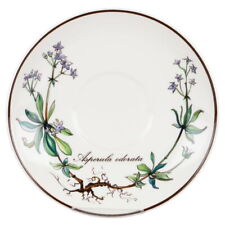 Untertasse für Mokka Asperula odorata mit Wurzel Villeroy & Boch Botanica