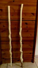  2 Wanderstöcke Stenz