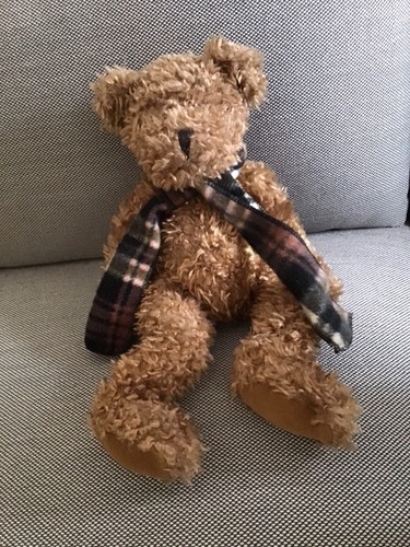 Teddy teddybär sunkid - teddy,