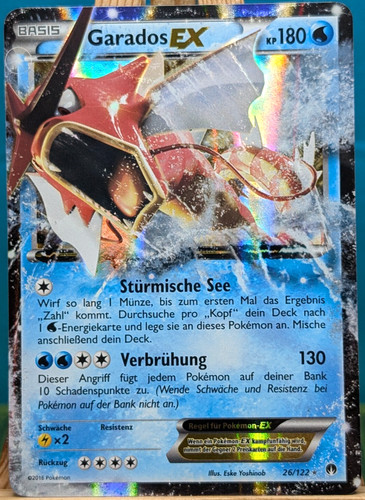 Pokemon turbofieber - turbofieber,