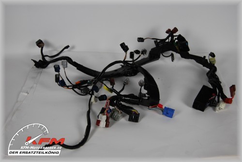 Honda cbr 1000 sc59 - cbr, rr