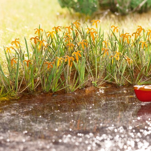 Noch 14140 wasserlilien - 14140,
