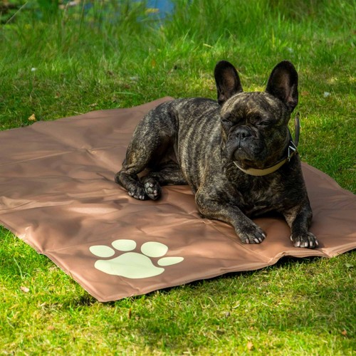 Kühlmatte hunde kältematte - kühlmatte,