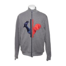 Rossignol, Trainingsjacke, Herren, Größe: 50, RLGMJ43, Grau/Mehrfarbig -DMB