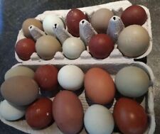 20 Stück Hühnereier; Bruteier; Marans schwarz/silber, Bielefelder Ken, Grünleger