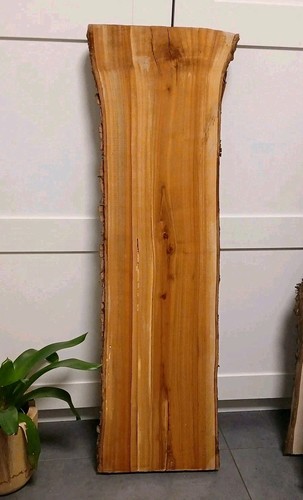 Kirschbaum bohle brett - kirschbaum,