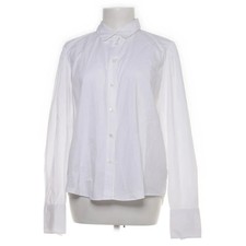 Robert Friedman, Bluse