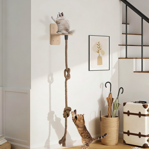 Kletterseil katze m - katze,