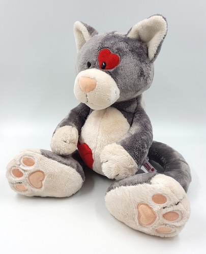 Nici love cats cat kater - nici,