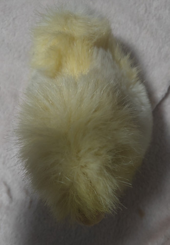 Steiff küken waggi - steiff,