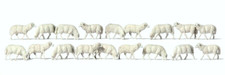 Preiser 14161 Schafe 18 Figuren H0 1:87