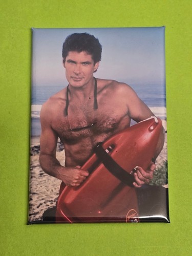 David hasselhoff magnet - david,